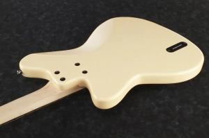 a1cb46_TMB100-IV detail 1.jpg