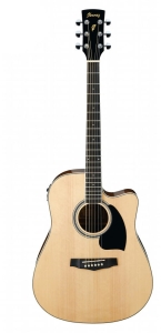 IBANEZ PF15ECE NT