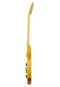EILPTVNH1_side.jpg