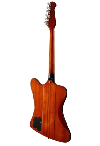 EIFBVSNH1_back.jpg