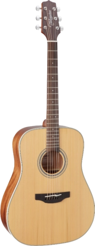 takamine_gd20-ns_pion.png