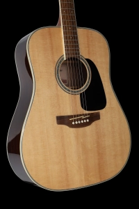Gitara-akustyczna-Takamine-GD51-NAT-korpus-i-boki.jpg