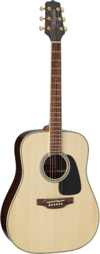 takamine_gd51_pion.png