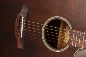 TAKAMINE_P1DC_SM-5_kopia.jpg