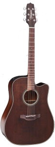 TAKAMINE-P1DC-SM.png