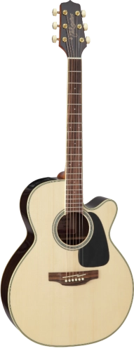 takamine_gn51ce_pion.png