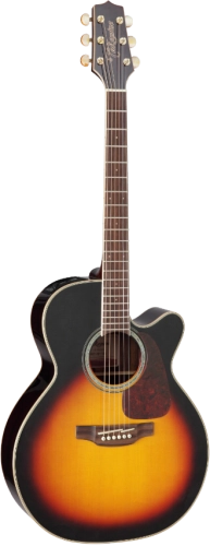 takamine_gn71ce-tbs_pion.png