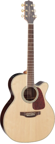 takamine_gn71ce_pion.png