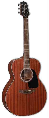 TAKAMINE-GN11M-NS.png