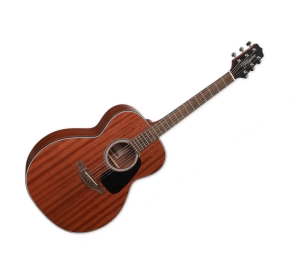 TAKAMINE-GN11M-NSmi.png