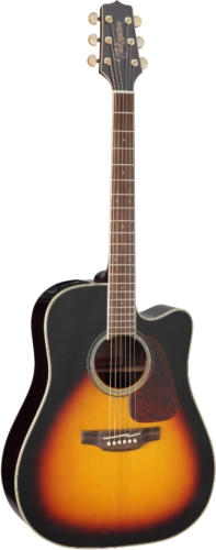 takamine_gd71ce-tbs_pion.png