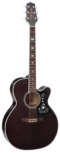 TAKAMINE-GN75CE-TB.png