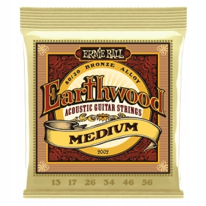ERNIE-BALL-EARTHWOOD-2002.jpeg