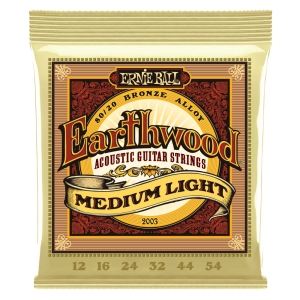 ERNIE BALL EARTHWOOD 2003 12-54