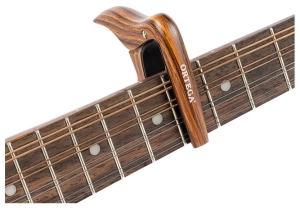 OCAPOUKE-WND4.jpg