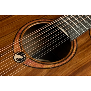 jumbo-12-cordes-strings-acoustic-electric5.png