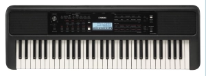 PSR-E383_o_0001.jpg