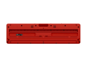CT-S1RD 005.jpg