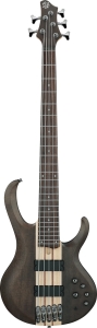 IBANEZ BTB605 TGF Gitara basowa 5-strunowa