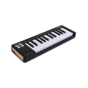Arturia MicroLab mk3 Black - 5.png