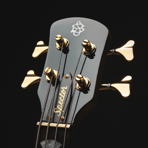 SXICONNS2BWH_6_Headstock_web_original.png