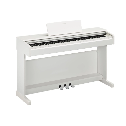 YDP145WH B.jpg