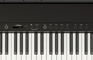 FP-40_BK_PANEL.jpg