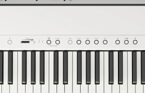FP-40_WH_PANEL.jpg