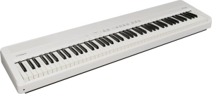 FP-40_WH_DR1.jpg
