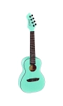 ORTEGA RUHZ-SFG Ukulele koncertowe