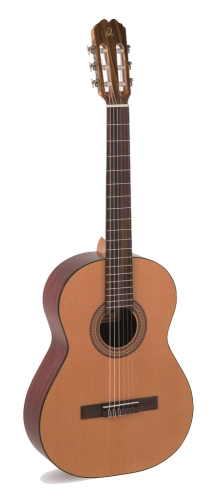 paloma2.png