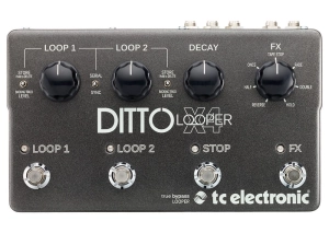 ditto4b.jpg