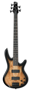 IBANEZ GSR205SM NGT Gitara basowa 5-strunowa